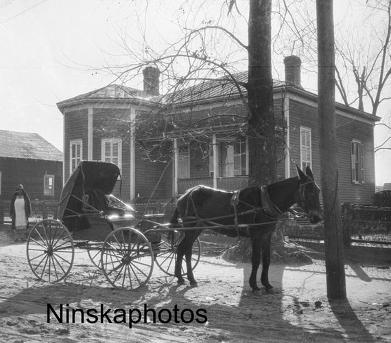 Guyton Georgia - Horse Drawn Cart - United States 1927 - Fine Art Antique Photo Print - Vintage Photo - Photo History - BNW