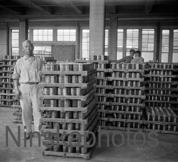 Hawaiian Pineapple Company Canning Factory, Hawaii, United States, 1920s antique photo reprint