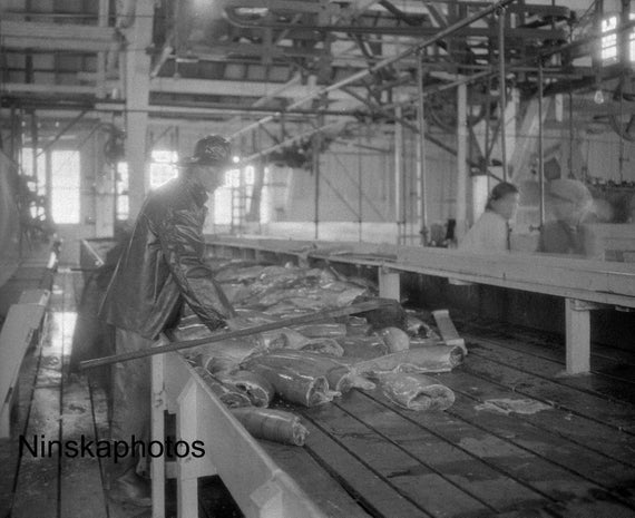 Steveston Salmon Canning Factory, Cannery, British Columbia, BC, Canada 1926 - Fine Art Antique Photo Print - Vintage Photo - 6313