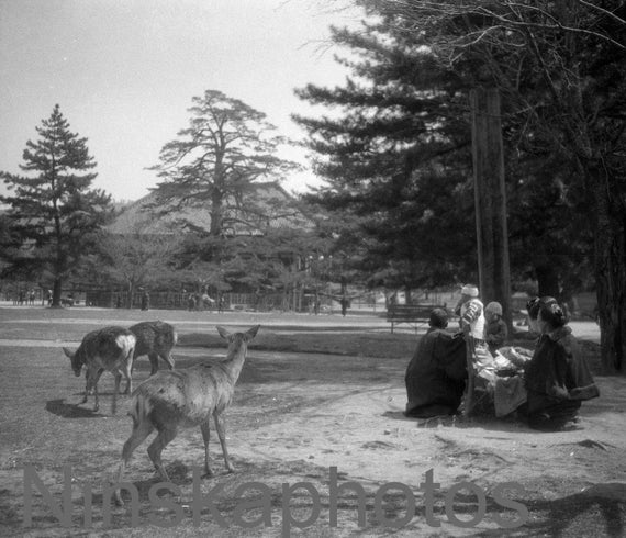 1920s Japan, Women and Children in Nara Park, Nara, Black & White Photography, 1920s antique photo reprint - Local History