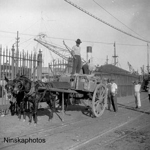 Kaffee Export - Ausladen von Kaffee von Pferd und Wagen - Santos Wharf, Brasilien 1927 - Fine Art Antique Fotodruck - Vintage Foto - 8679