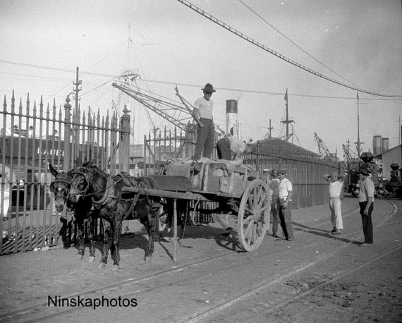 Coffee Export - Unloading Coffee from Horse and Cart - Santos Wharf, Brazil 1927 - Fine Art Antique Photo Print - Vintage Photo - 8679
