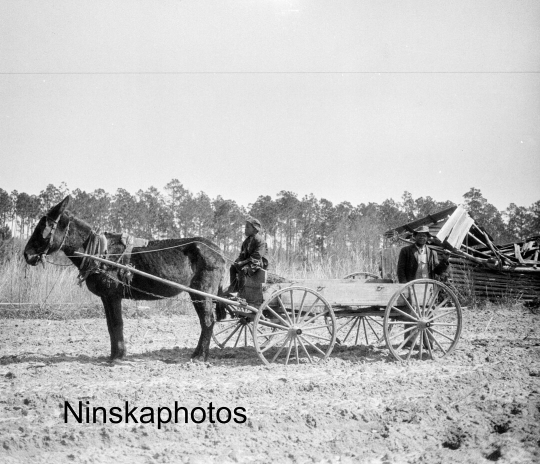 Guyton Men and Horse Drawn Cart United States 1927 Fine Art Antique Photo Print Vintage