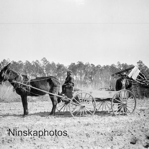 Guyton Georgia - Herren und Pferd Gezeichneter Wagen - USA 1927 - Fine Art Antique Fotodruck - Vintage Foto - Fotogeschichte - BNW