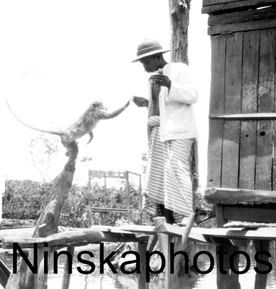 1920s Indonesia, Man feeding a Monkey on Monkey Island, Banjarmasin, South Kalimantan by J. Dearden Holmes, 1920s antique photo reprint