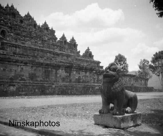 Borobudur Temple with Stone Lion - Java, Indonesia - Mahayana Buddhist Temple - 1925 - Fine Art Antique Photo Print - Vintage Photo - 3243