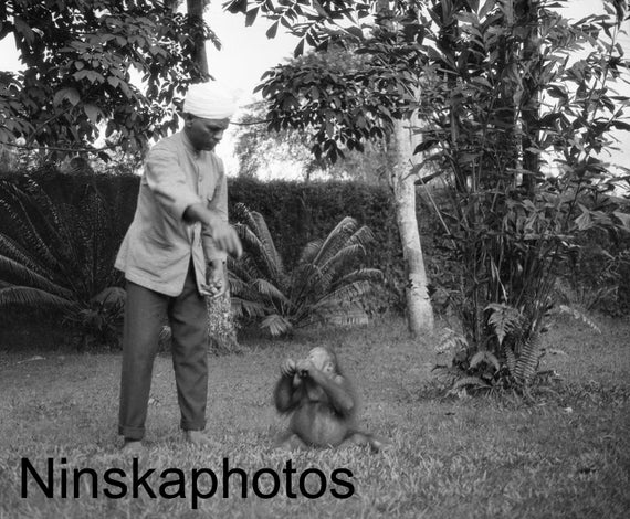 Man with Bill the Orangutan in Sarawak, Borneo, Malaysia by J. Dearden Holmes, 1920s antique photo reprint, Animal, Primate, Wildlife