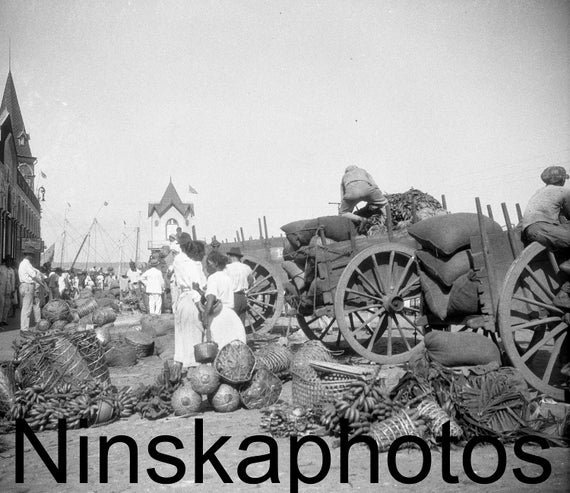 Belem, Para, Brazil, Market Scene, carts and piles of fruit, 1920s antique photo reprint, North Brazil, Brazilian History