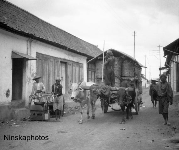 Bullock Cart and Locals in Village near Yogyakarta - Java, Indonesia - 1925 - Fine Art Antique Photo Print - BNW - Vintage Photo - 3192