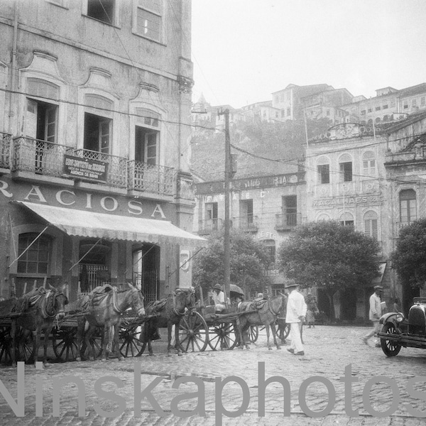 Salvador, Bahia, Brazil, Street Scene - Horses and Carts and Automobiles, 1920s antique photo reprint, North Brazil, Brazilian History