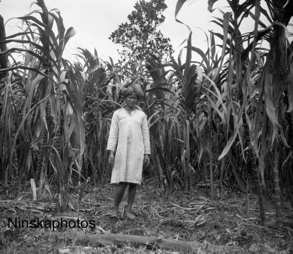 Village of Lawang - Girl in Sugar Cane Field - Rural Sumatra - Indonesia - 1925 - Fine Art Antique Photo Print - Vintage Photo - 3376