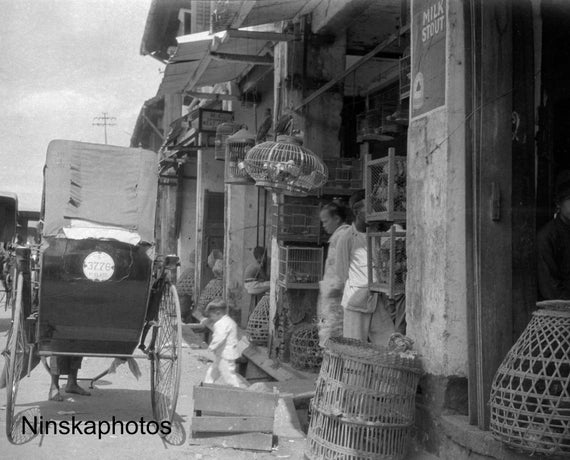 Rochore Road - A Bird Shop, Singapore - Vintage Photo Reproduction by James Dearden Holmes - Historical Photo - Rickshaw - Street Scene