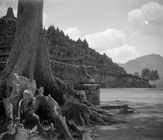 Borobudur Temple - Beautiful Tree - Java, Indonesia - Mahayana Buddhist Temple - 1925 - Fine Art Antique Photo Print - Vintage Photo - 3234