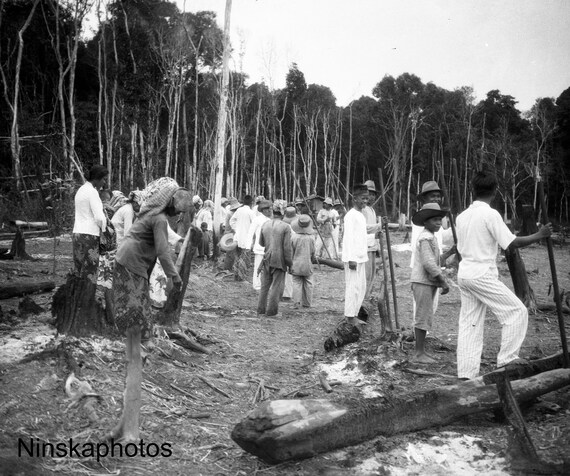 Rice Planters in Betoeng - West Kalimantan - Borneo - Indonesia - 1925 - Fine Art Antique Photo Print - BNW - Vintage Photo