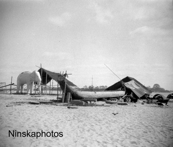 White Paper Mache Elephant Statue, Myanmar, Burma, Asia, 1920s antique photo reprint, Black and White, Wall Decor