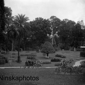 1920er Kandy, Ceylon, Sri Lanka, Peradeniya Royal Botanical Gardens von J. Dearden Holmes, 1920er Jahre antiker Fotoabdruck, Vintage Fotografie