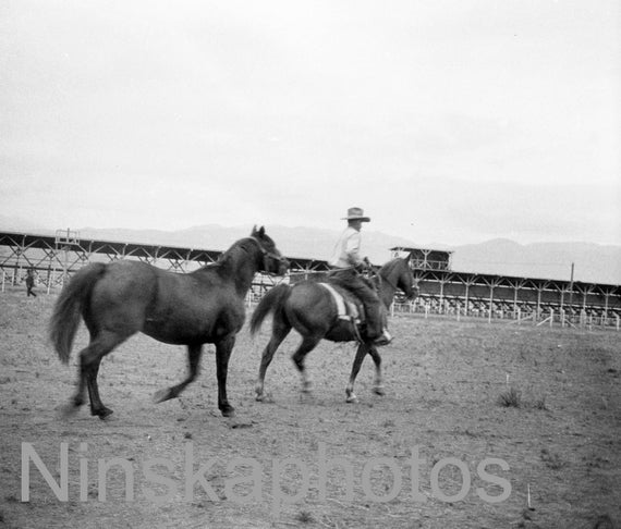 1920s Rodeo, Colorado Springs, Colorado, United States, 1920s antique photo reprint, horses, Cowboy