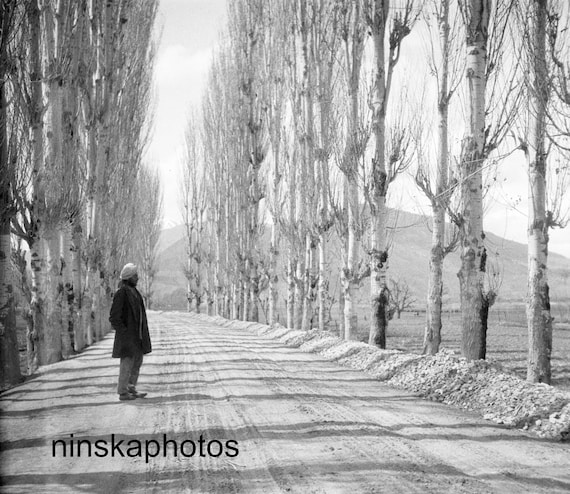 On the road from Srinagar to Rawalpindi, Kashmir, Punjab by J. Dearden Holmes, 1920s antique photo reprint, India, Pakistan