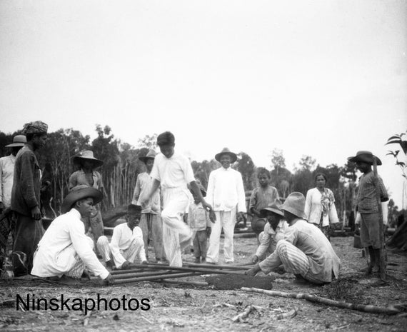 Padi Dancing in Betoeng, West Kalimantan, Borneo, Malaysia by J. Dearden Holmes, 1920s antique photo reprint, Indonesia