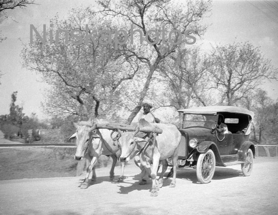 Bullocks towing Motor Car, Rawalpindi, India by J. Dearden Holmes, 1920s antique photo reprint, Pakistan, Vintage Motor, Animal Photo