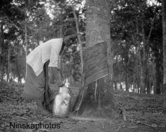 Rubber Plantation in Sumatra - Woman Collecting latex in Can, Indonesia - 1925 - Fine Art Antique Photo Print - Vintage Photo - 3597