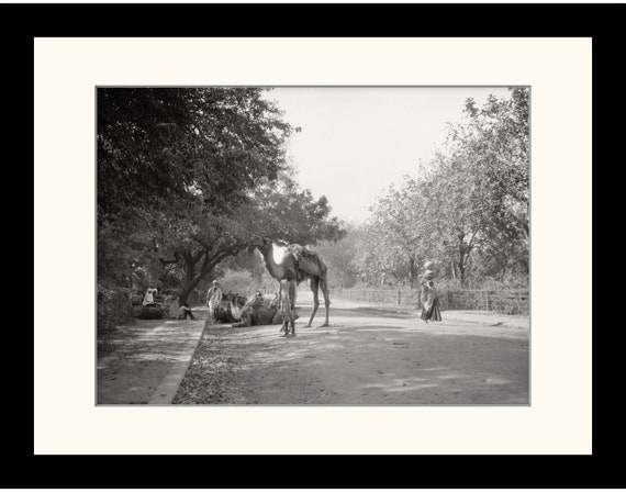 Rural Street Scene near Agra, India Vintage Photo Reproduction by James Dearden Holmes - Historical Photo