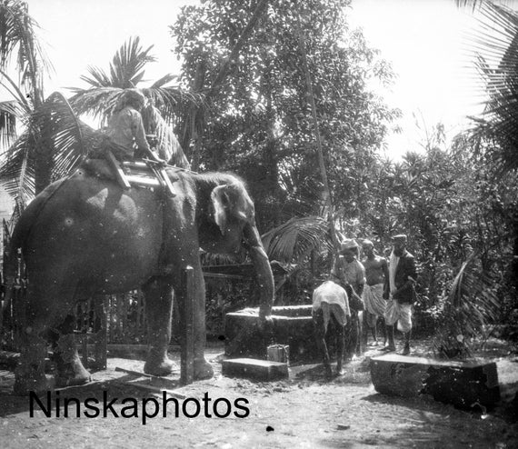 Rangoon - Elephants working at a Government Timber Yard - Burma Myanmar - 1925 - Fine Art Antique Photo Print - Vintage Photo - 946