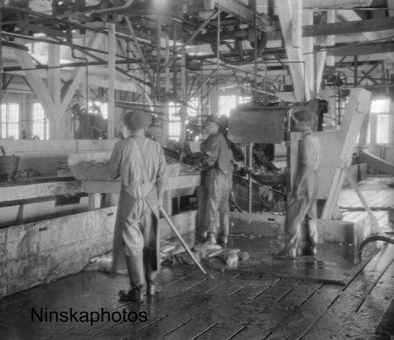 Steveston Salmon Canning Factory, Cannery, British Columbia, BC, Canada 1926 - Fine Art Antique Photo Print - Vintage Photo - 6316
