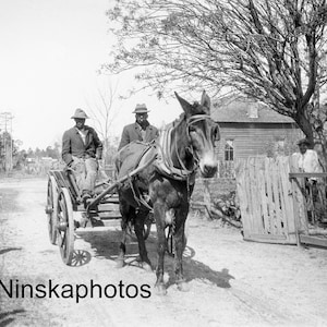 Guyton Georgia - African American Men driving Horse and Cart, USA 1927 - Fine Art Antique Fotodruck - Vintage Foto - 7308