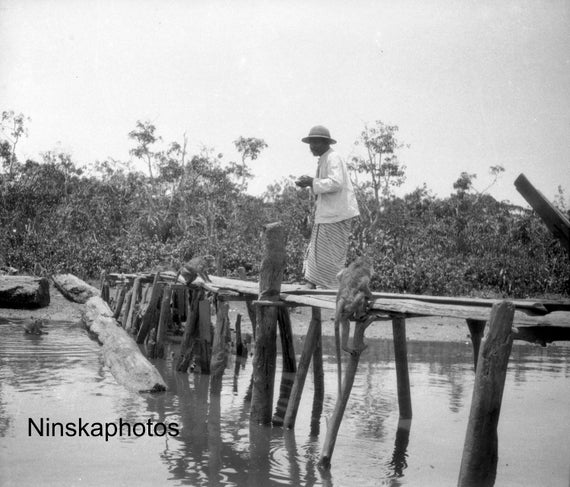 Monkey Island (Kembang Island) Banjarmasin, Borneo - Indonesia - 1925 - Fine Art Antique Photo Print - BNW - Vintage Photo