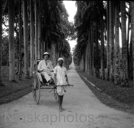 1920s Kandy, Ceylon, Sri Lanka, Peradeniya Royal Botanical Gardens by J. Dearden Holmes, 1920s antique photo reprint, Rickshaw