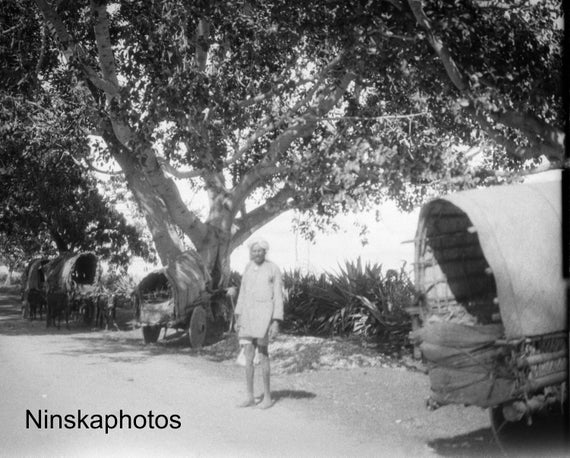 The Mysore Road from Ootacamund, India - Vintage Photo Reproduction by James Dearden Holmes - Historical Photo - Ooty - Udhagamandalam