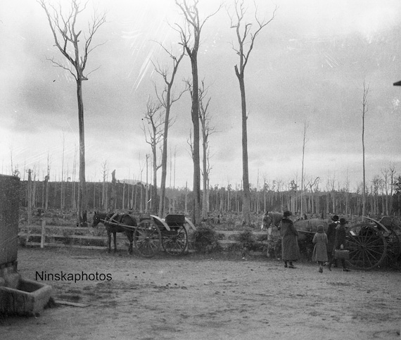 Tasmania - Rural Station en route Launceston to St Helens - Australia - 1925 - Fine Art Photo Print - Vintage Photo - Black & White