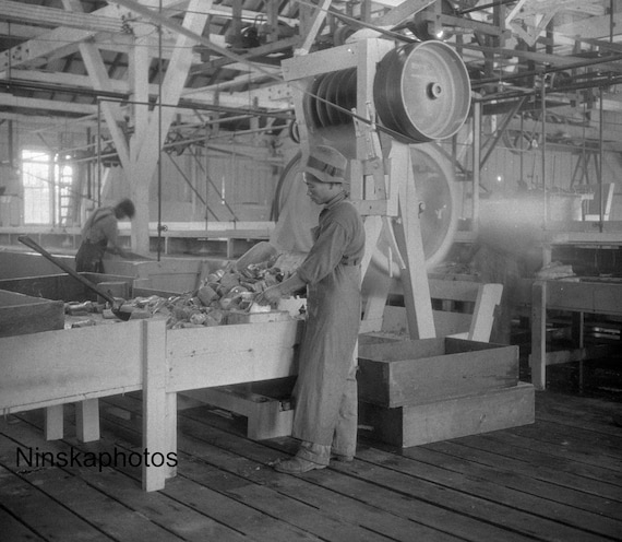 Steveston Salmon Canning Factory, Cannery, British Columbia, BC, Canada 1926 - Fine Art Antique Photo Print - Vintage Photo - 6321