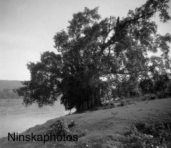 1920s On the Banks of the The Irrawaddy River, Burma, Myanmar Antique Photo Reproduction - Vintage Photography - Black and White