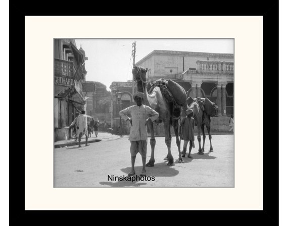 Men and Camels, Street Scene in Benares, Varanasi, India Vintage Photo Reproduction by James Dearden Holmes - Historical Photography