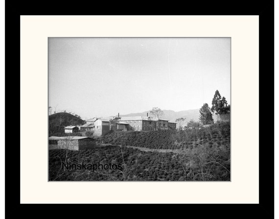 Darjeeling Tea Factory, Nagri, India Vintage Photo Reproduction by James Dearden Holmes - Historical Photography
