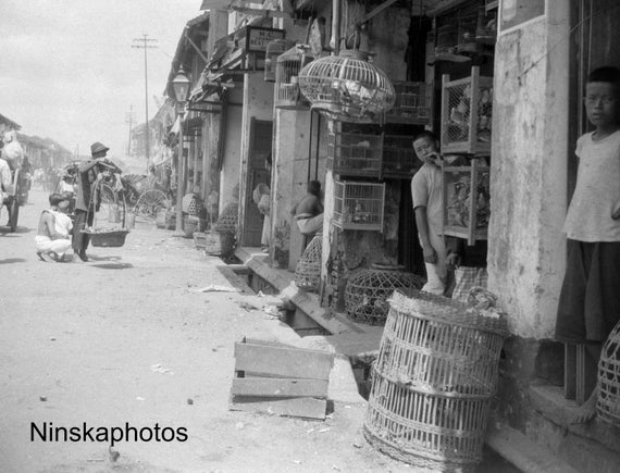 Rochore Road - A Bird Shop, Singapore - Vintage Photo Reproduction by James Dearden Holmes - Historical Photo - Rickshaw - Street Scene
