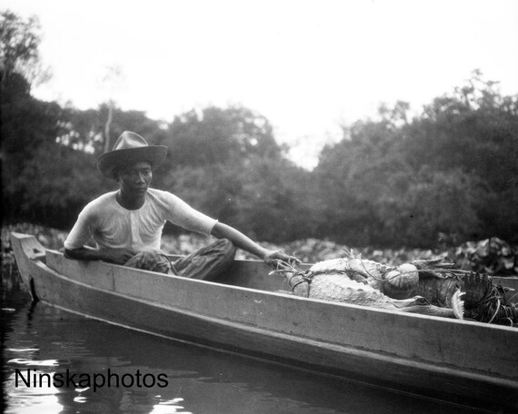 Live Crocodile in boat on the Napoe River, Kalimantan, Borneo - Indonesia - 1925 - Fine Art Antique Photo Print - BNW - Vintage Photo - 2966