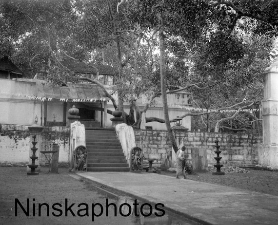 1920s Anuradhapura, Ceylon, Sri Lanka, On the Steps of the Bodhi Tree Temple by J. Dearden Holmes, 1920s antique photo reprint