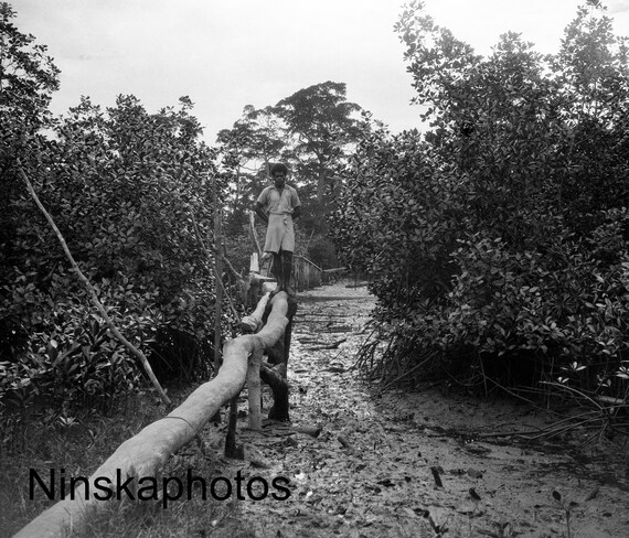Fiji - Man walking a narrow bridge - The Bridge from Suva to Lami - 1925 - Fine Art Photo Print - Vintage Photo - Black & White