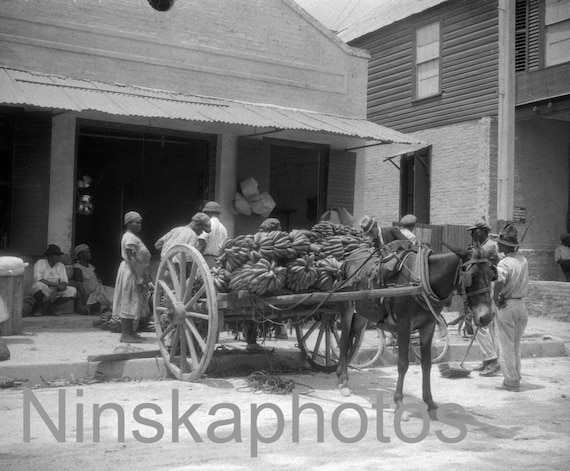 Banana Cart, Kingston Street Scene, Jamaica 1927, 1920s antique photo reprint, Donkey, Market Scene, Local History, Monochrome Wall Decor