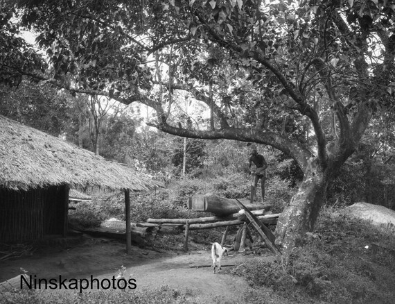 A Saw Mill along the Mysore Road from Ootacamund, India - Vintage Photo Reproduction by James Dearden Holmes - Ooty - Udhagamandalam