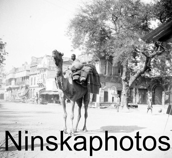1920s Varanasi Street Scene - Man riding a Camel, India, Benares, India by J. Dearden Holmes, 1920s antique photo reprint