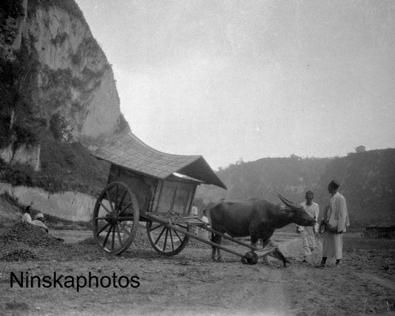 A Buffalo Cart in Karbouwengat near Bukittinggi - Sumatra, Indonesia - 1925 - Fine Art Antique Photo Print - BNW - Vintage Photo - 3340