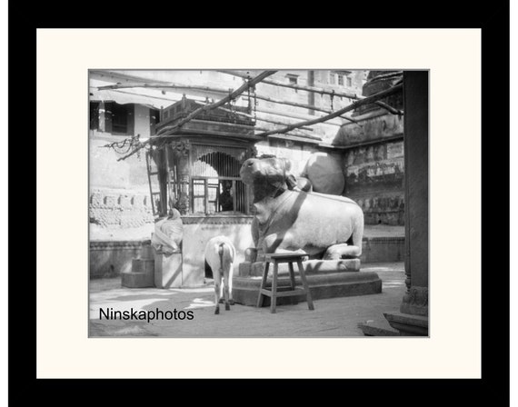 At the Golden Temple, Kashi Vishwanath, Benares, Varanasi, India Vintage Photo Reproduction by James Dearden Holmes - Historical Photo