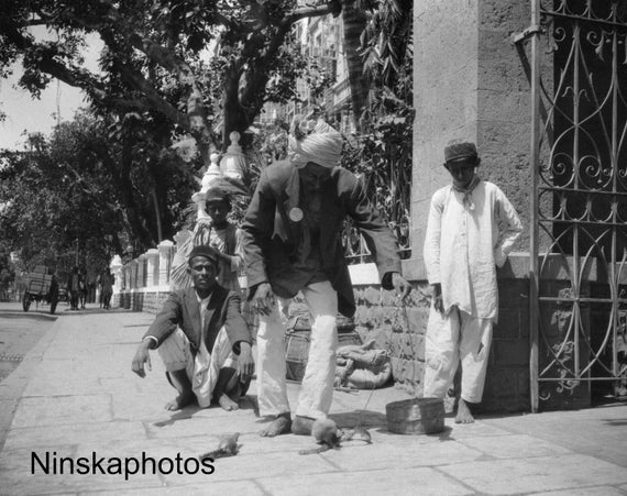 Snake Charmer in Bombay - Mumbai, India - Vintage Photo Reproduction by James Dearden Holmes - Historical Photo