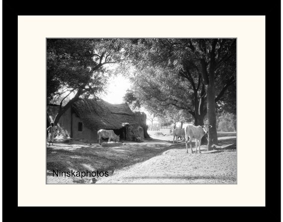 Rural Street Scene near Agra, India Vintage Photo Reproduction by James Dearden Holmes - Historical Photo