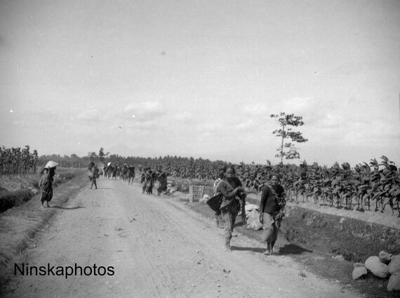 Tobacco Workers near Yogyakarta - Java, Indonesia - 1925 - Fine Art Antique Photo Print - BNW - Vintage Photo - 3219