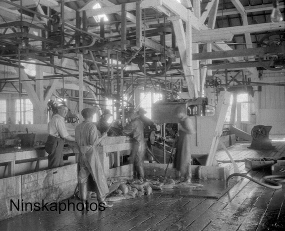 Steveston Salmon Canning Factory, Cannery, British Columbia, BC, Canada 1926 - Fine Art Antique Photo Print - Vintage Photo - 6317